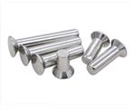 不銹鋼沉頭實心鉚釘